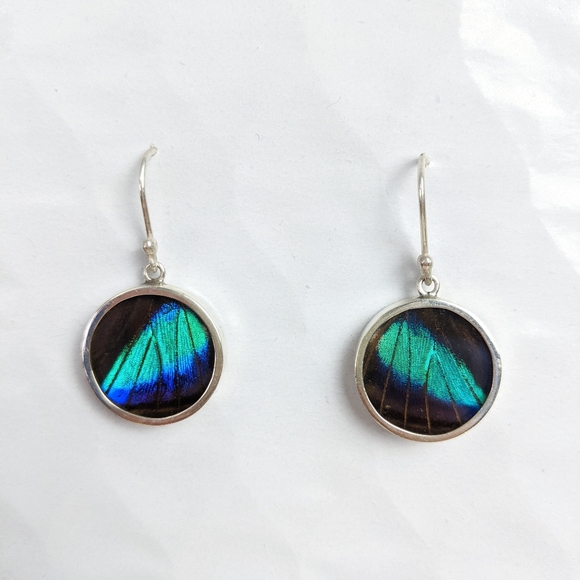 butterfly wings earrings - Picture 1 of 2